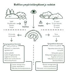 Betonin Negatiiviset Merkitykset