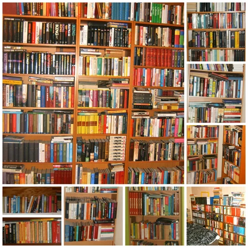 Bussi Unessa: Yleiskatsaus