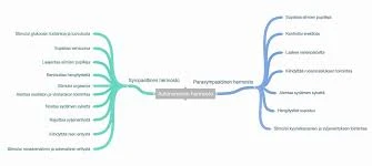 Case-Esimerkit: Hierominen Unissa