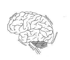 Erilaiset Unentyypit