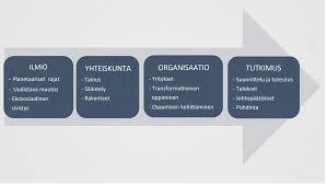 Erityistapaukset Ja Niiden Merkitykset