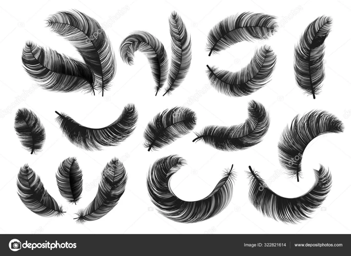 Fenix-Lintu Ja Sen Symboliikka