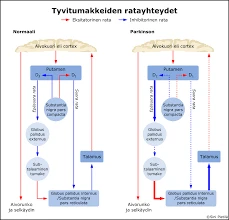 Hatan Vaikutus Unen Laatuun