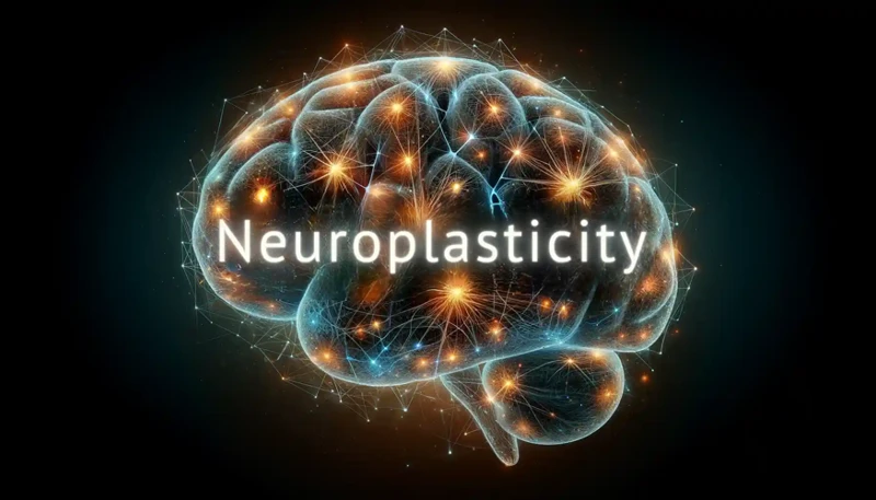 Henkiset Harjoitukset Ja Meditaatio