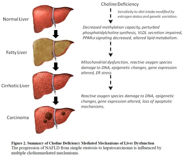Hiiren Näkeminen: Esimerkkejä Ja Tarinoita