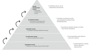 Johtopäätökset Ja Kiinnostavat Kysymykset