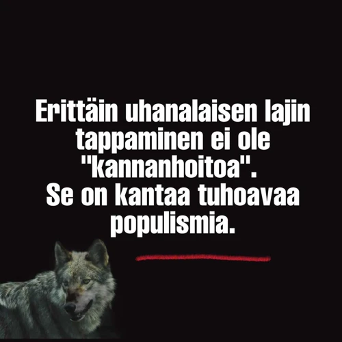 Kaarmeen Tappaminen Verrattuna Muihin Eläimiin Unissa