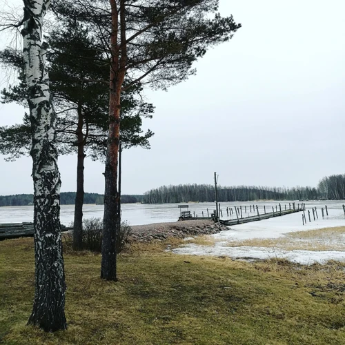 Kakka Ja Stressi