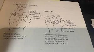 Kasvojen Ilmeet Ja Keholliset Tunteet