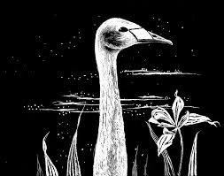 Katkennut Avain Unessa: Yleiskatsaus