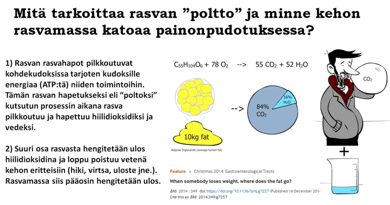 Käytännön Vinkkejä Hyökyaalto Unien Käsittelyyn