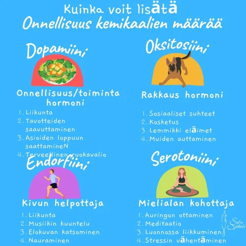 Keittiö Ja Sosiaaliset Suhteet