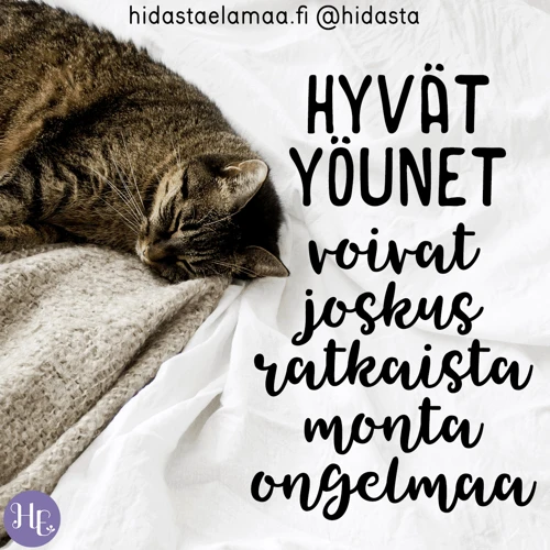 Kissasta Unessa: Käyttäytyminen Ja Toiminnot