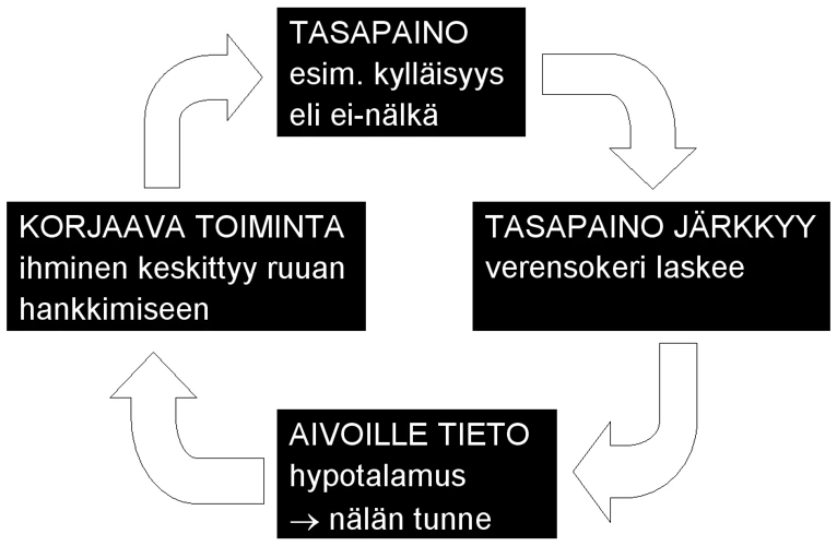 Kiusaamisen Käsite Unissa