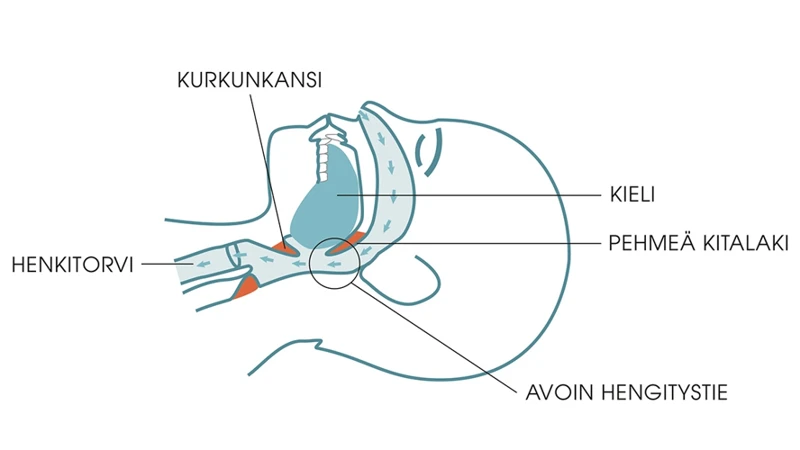 Kuinka Huimauksen Tunne Vaikuttaa Uneen?