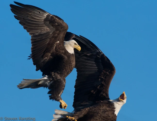 Kulttuuriset Näkemykset Siipi Unista