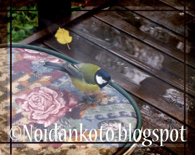 Kurki Unessa: Onko Se Hyvä Vai Huono Ennustus?