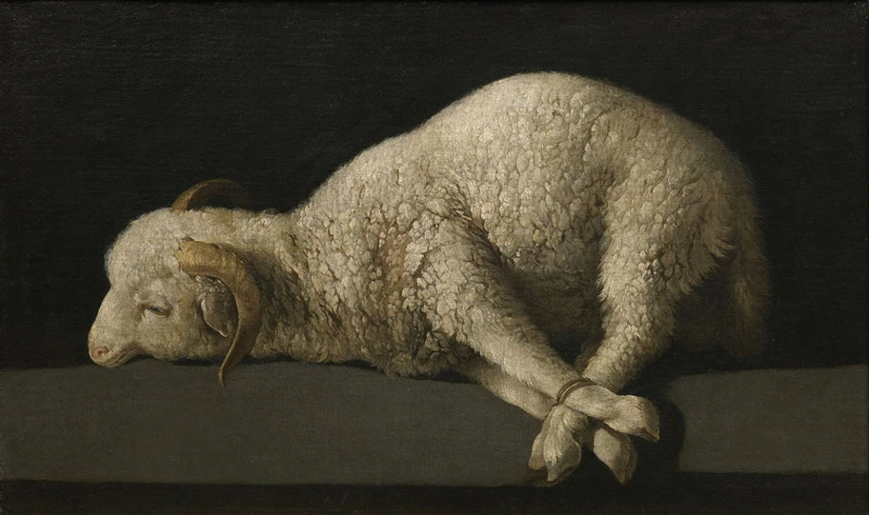 Lammas Ja Psykologinen Näkökulma