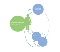 Leijonat Ja Psykologinen Tarkastelu