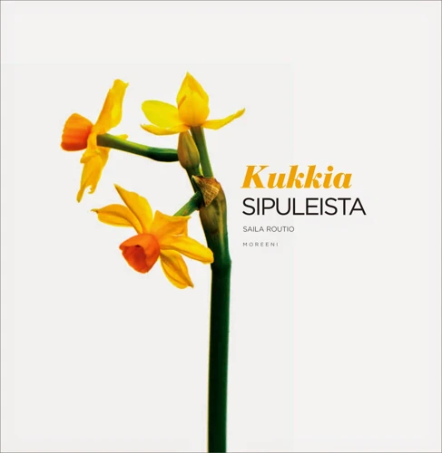 Lentämistä Unissa Käsittelevät Myytit Ja Legendat