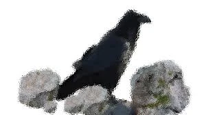 Leppakerttu Unissa: Symboliikan Syvemmät Tasot