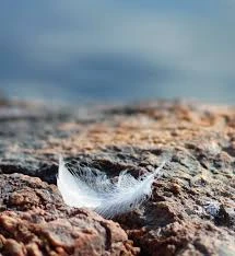 Lisälukemista Unien Tulkinnasta