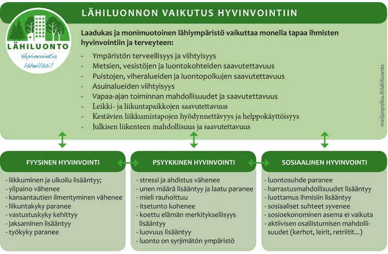 Luonnon Ja Elämän Yhteys