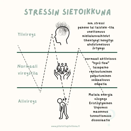 Maton Merkitys Henkilökohtaisessa Kontekstissa