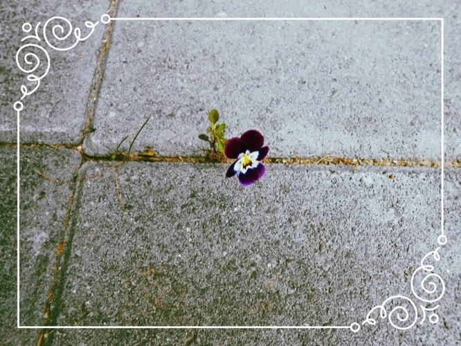 Miekkailun Merkitys Unissa