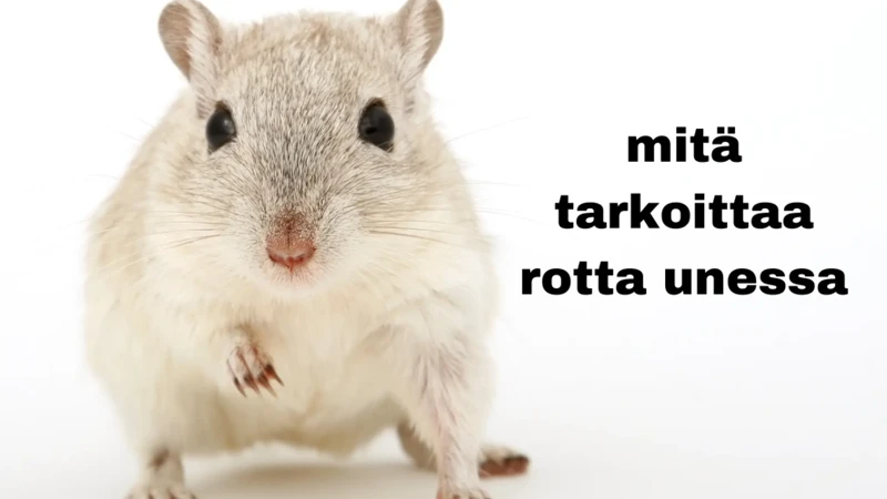 Miksi Näemme Appiukon Unessa?