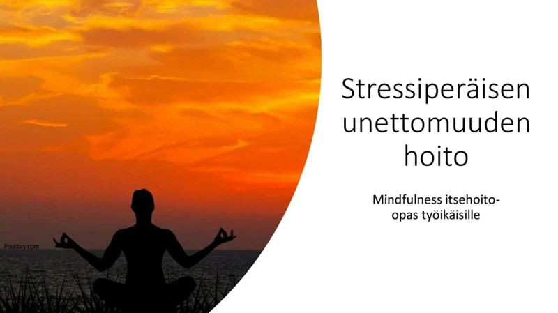 Mindfulness Ja Meditaatio
