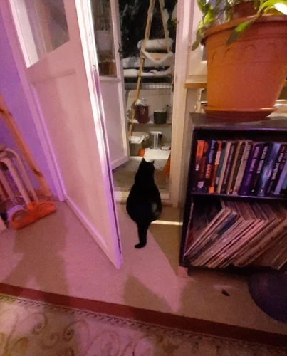 Mitä Tehdä Katkenneen Avaimen Unen Jälkeen?