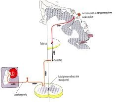 Miten Purkaa Ukkosen Aiheuttamia Tunteita