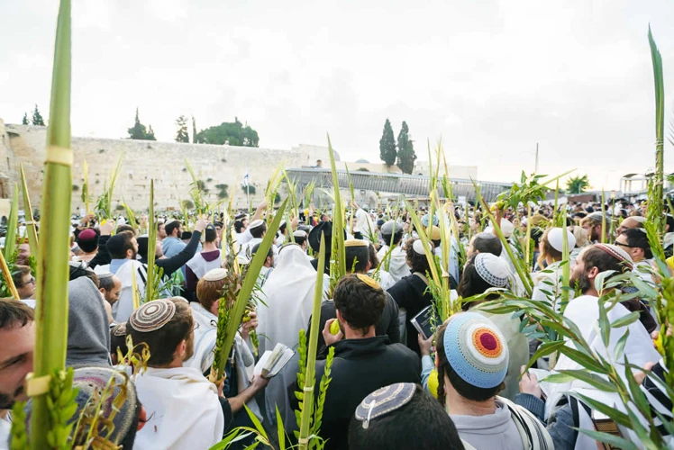 Miten Tutkijat Tulkitsevat Egyptiläisiä Unia