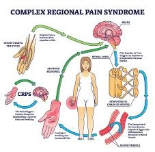 Muurahaiset: Käsitykset Ja Uskomukset