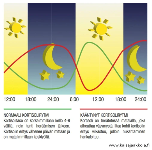 Omenapuu Unessa Ja Ajan Kulku