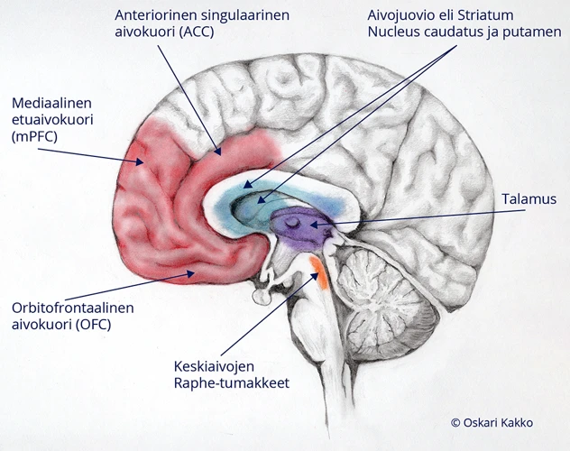 Panda Ja Unet: Miten Ne Yhdistyvät?