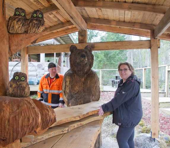 Polttopuiden Merkitys Unien Maailmassa