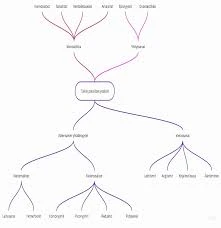 Polttopuiden Tulkinnan Haasteet