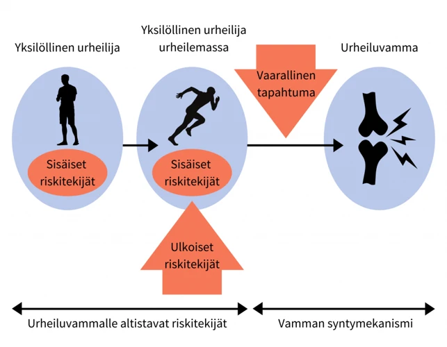Riskitekijät Ja Altistavat Tekijät