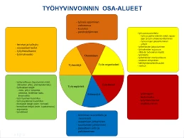 Setelin Ulkonäkö Unessa