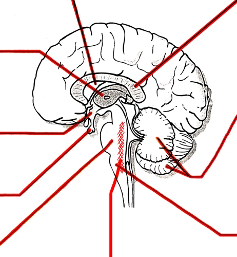 Sormet Ja Luovuus Unissa