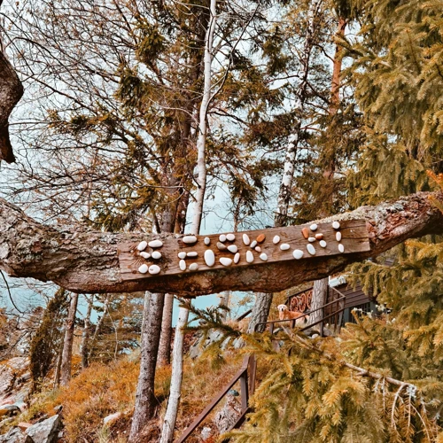 Tarinoita Ja Kokemuksia Kuolleista Unissa