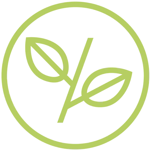 Tunteet Busseissa Ja Niiden Vaikutus Uneen