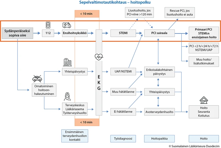 Unen Häiriöt Ja Niiden Vaikutukset Elvytykseen