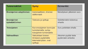 Unen Ja Tunteiden Vaikutus Päätöksentekoon