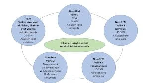 Unet Ja Lääkinnälliset Käytännöt