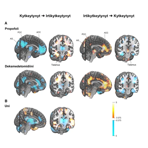 Uni-Kokemusten Analysointi