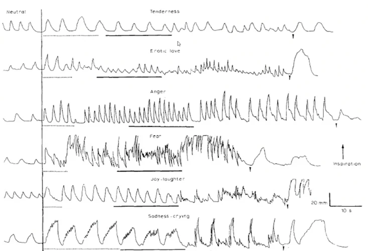 Unien Tulkinnan Käytännön Menetelmät