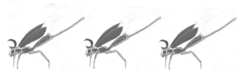 Usein Kysytyt Kysymykset Hautajaisista Unessa